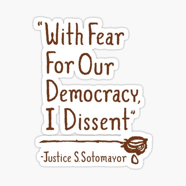 With Fear For Our Democracy, I Dissent