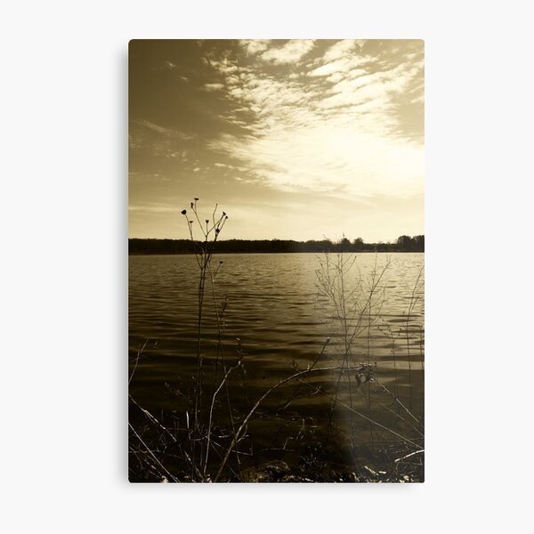 Item preview, "Simplistic Beauty" designed and sold by Slothography.