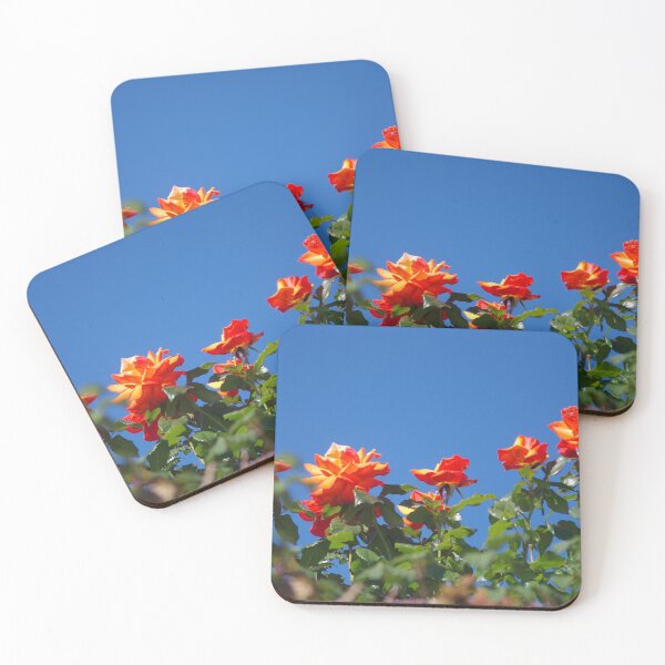 Item preview, Roses In Charlestown, Cornwall UK designed and sold by lezvee.
