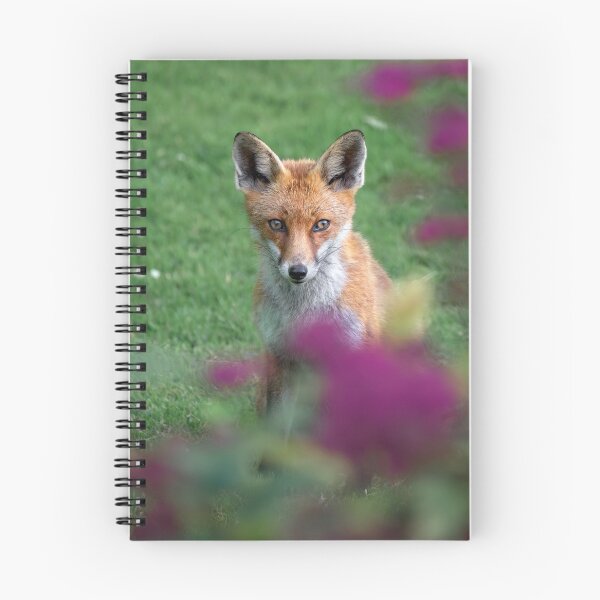 Item preview, Foxy designed and sold by Jay Mayne.
