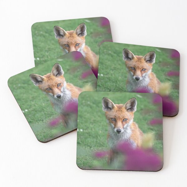 Item preview, Foxy designed and sold by Jay Mayne.