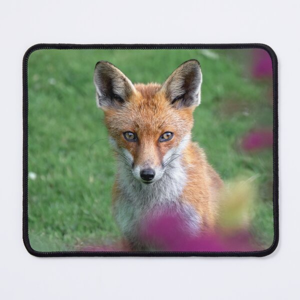 Item preview, Foxy designed and sold by Jay Mayne.