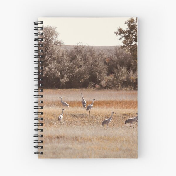 Item preview, Sandhill Cranes In Golden Autumn Meadow designed and sold by FeatherfallSTU.