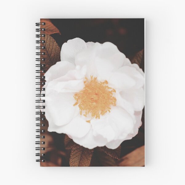 Item preview, Rosa silvestre blanca en otoño designed and sold by FeatherfallSTU.