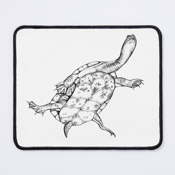 Item preview, Southwestern snake necked turtle designed and sold by SERCUL.