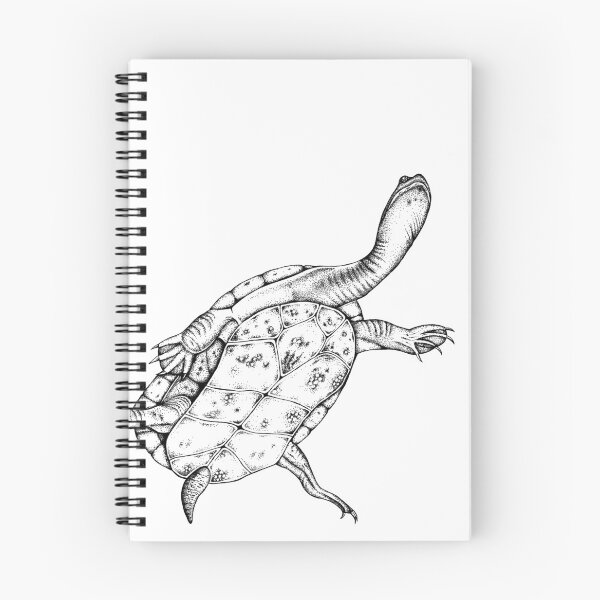 Item preview, Southwestern snake necked turtle designed and sold by SERCUL.