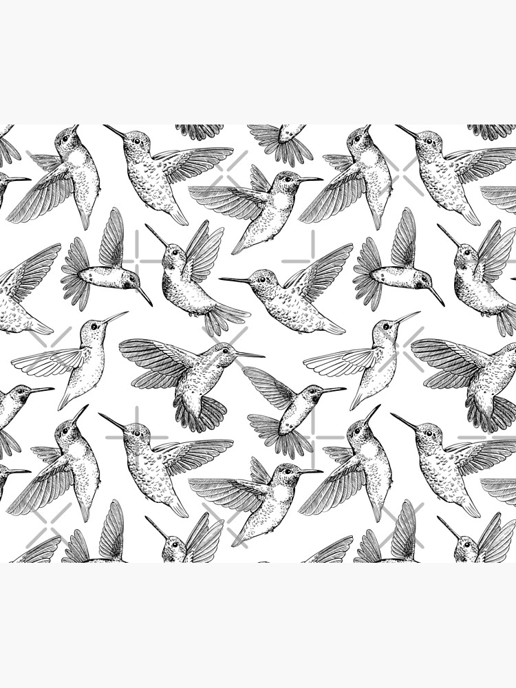 Hummingbirds by katerinamk