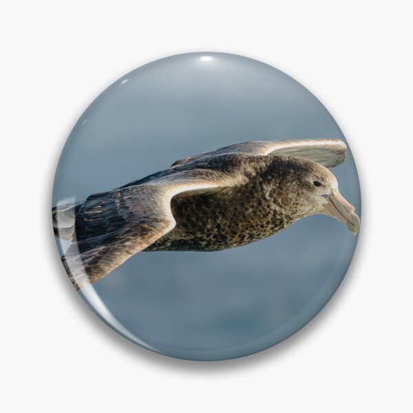 Item preview, Southern Giant Petrel designed and sold by Jan Fijolek.