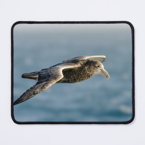 Item preview, Southern Giant Petrel designed and sold by Jan Fijolek.