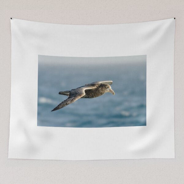 Item preview, Southern Giant Petrel designed and sold by Jan Fijolek.
