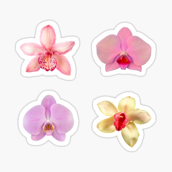 Item preview, Orchids designed and sold by skyangels.