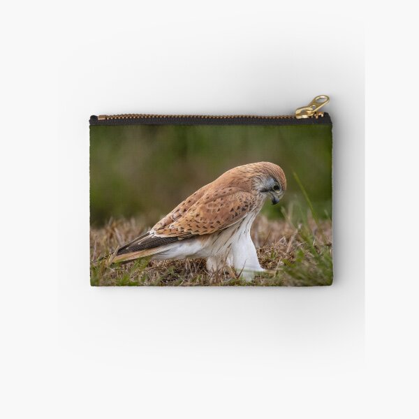 Item preview, Nankeen Kestrel (Falco cenchroides) designed and sold by Glenn-Smith.