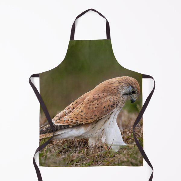Item preview, Nankeen Kestrel (Falco cenchroides) designed and sold by Glenn-Smith.