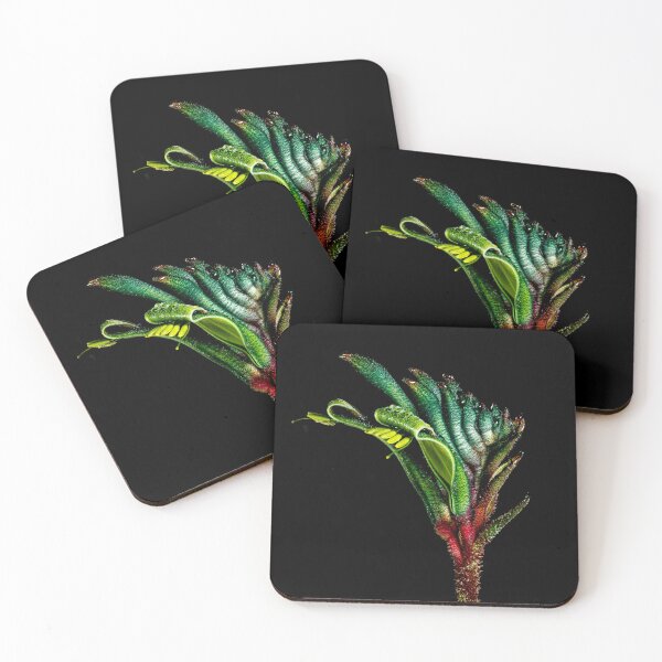 Item preview, Kangaroo Paw designed and sold by Glenn-Smith.