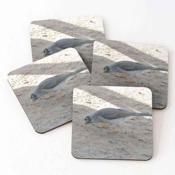 Item preview, A hungry noisy miner designed and sold by greentiger1.