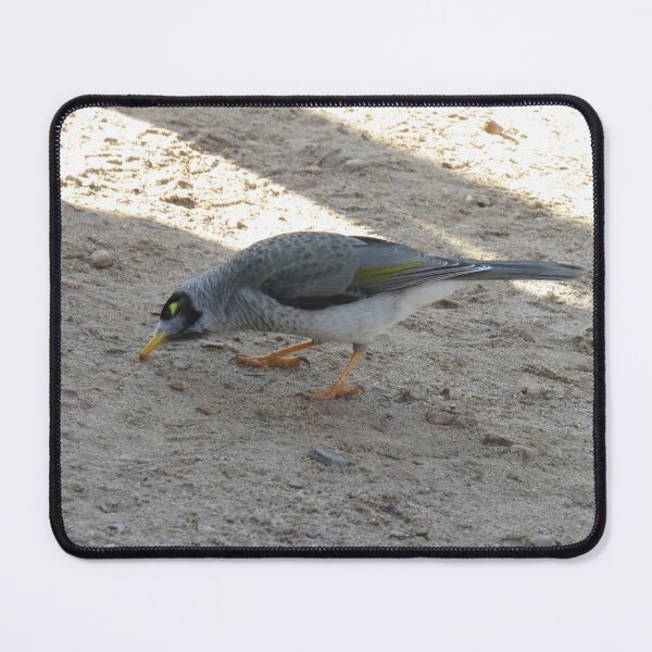 Item preview, A hungry noisy miner designed and sold by greentiger1.