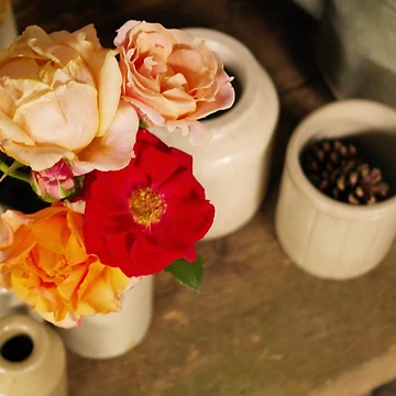 Artwork thumbnail, Rustic Roses by Fay Freshwater