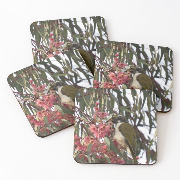 Item preview, Juvenile blue-faced honeyeater in a gumtree designed and sold by greentiger1.