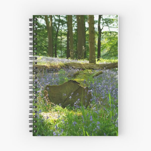 Artikelvorschau, In den Bluebell Woods entworfen und verkauft von Fay Freshwater.