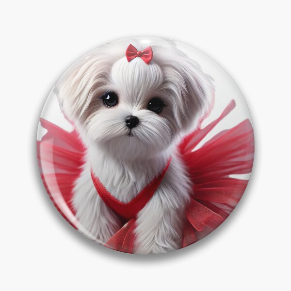 Item preview, Adorable Maltese puppy in a red lace tutu designed and sold by toypoodlemom.