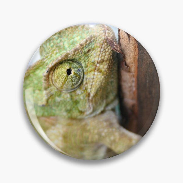 Item preview, Green Chameleon Holding On To A Shed Door designed and sold by taiche.
