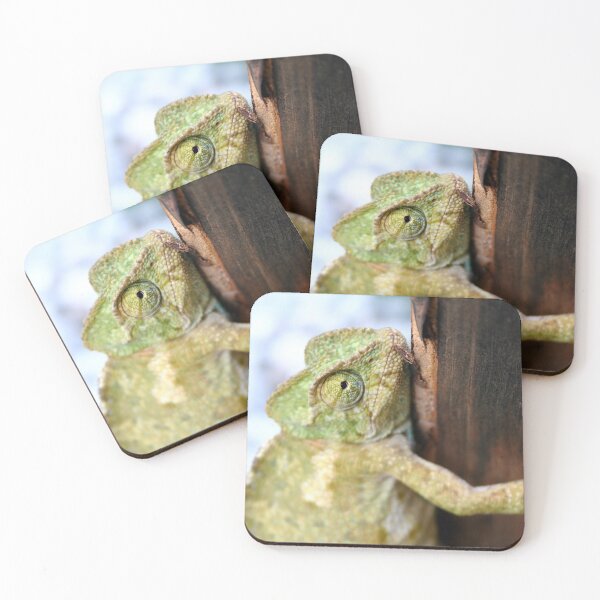 Item preview, Green Chameleon Holding On To A Shed Door designed and sold by taiche.