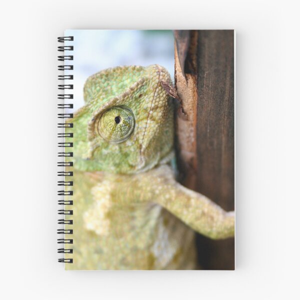 Item preview, Green Chameleon Holding On To A Shed Door designed and sold by taiche.
