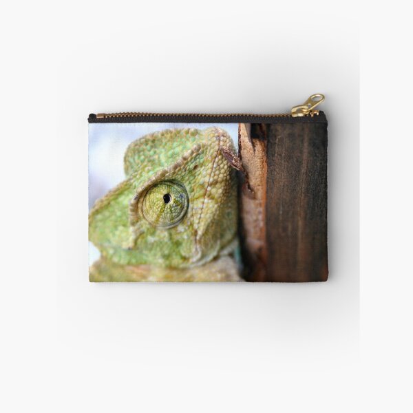 Item preview, Green Chameleon Holding On To A Shed Door designed and sold by taiche.