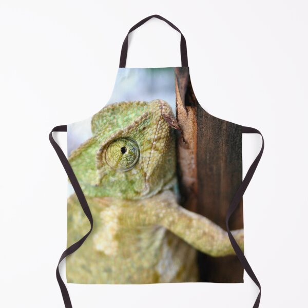 Item preview, Green Chameleon Holding On To A Shed Door designed and sold by taiche.