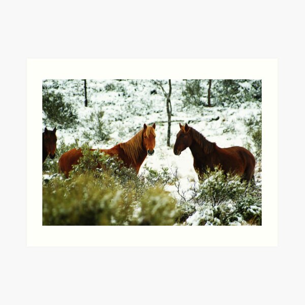Majestic Art Print