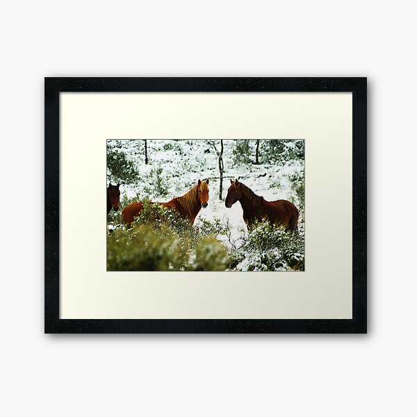 Majestic Framed Art Print