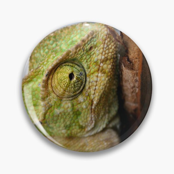 Item preview, If You Want To Change Then Change Chameleon designed and sold by taiche.