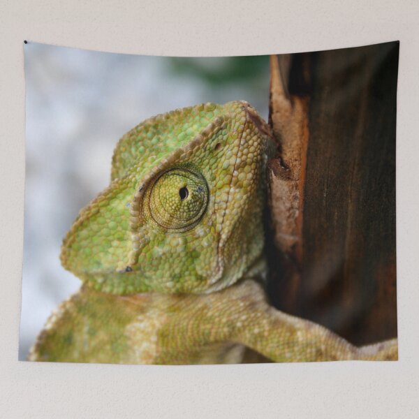 Item preview, If You Want To Change Then Change Chameleon designed and sold by taiche.
