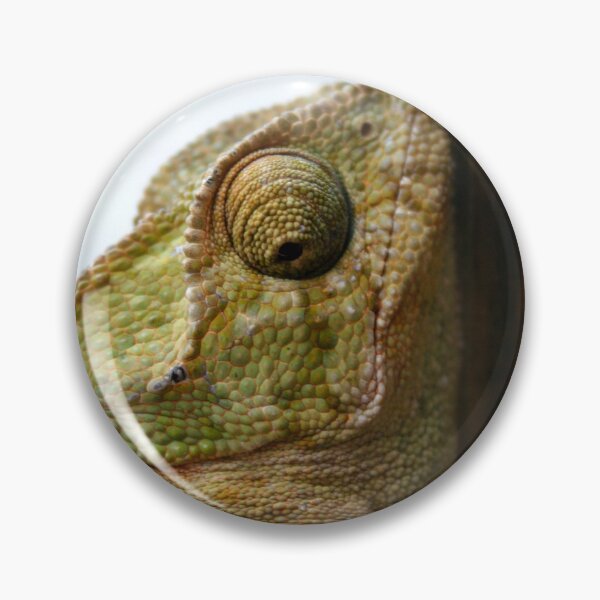 Item preview, Time For Change Green Chameleon designed and sold by taiche.