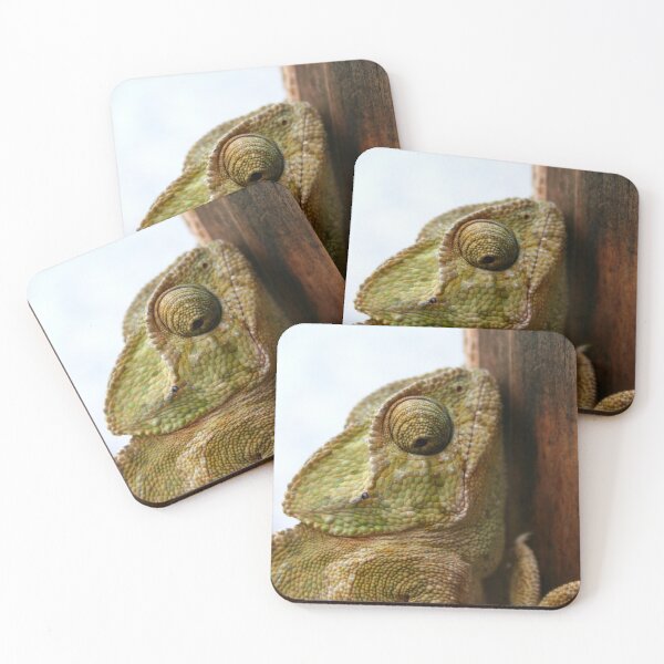 Item preview, Time For Change Green Chameleon designed and sold by taiche.
