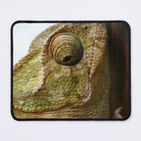 Item preview, Time For Change Green Chameleon designed and sold by taiche.
