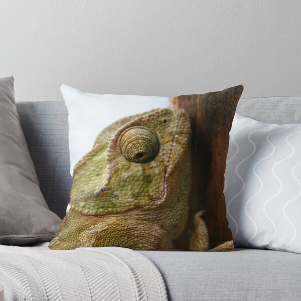 Item preview, Time For Change Green Chameleon designed and sold by taiche.