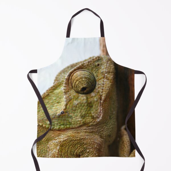 Item preview, Time For Change Green Chameleon designed and sold by taiche.