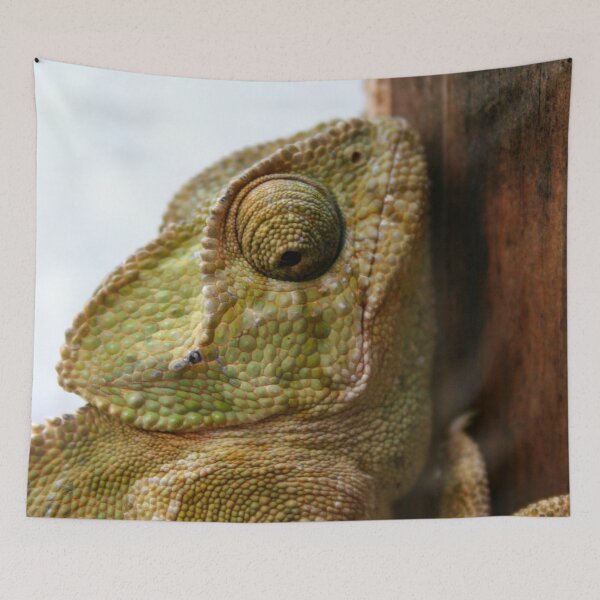 Item preview, Time For Change Green Chameleon designed and sold by taiche.