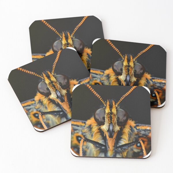Item preview, Butterfly designed and sold by Dadziosz.