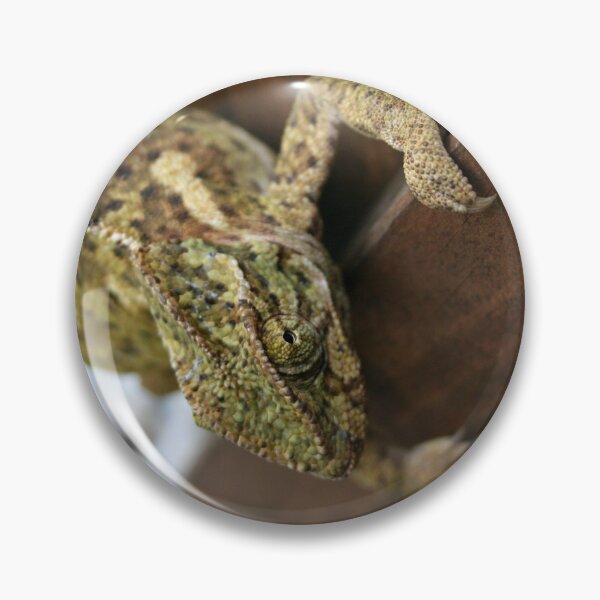 Item preview, Change Is The Essence Of Life Chameleon designed and sold by taiche.