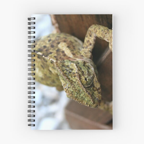 Item preview, Change Is The Essence Of Life Chameleon designed and sold by taiche.