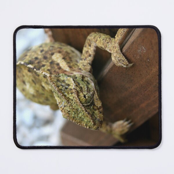Item preview, Change Is The Essence Of Life Chameleon designed and sold by taiche.