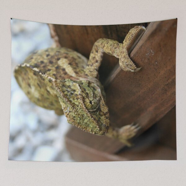 Item preview, Change Is The Essence Of Life Chameleon designed and sold by taiche.
