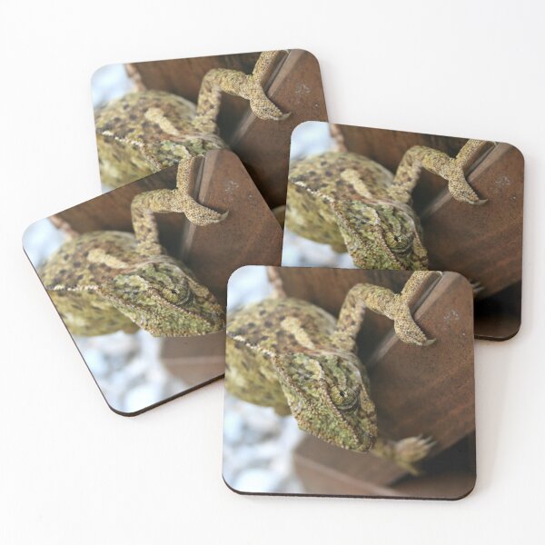 Item preview, Change Is The Essence Of Life Chameleon designed and sold by taiche.
