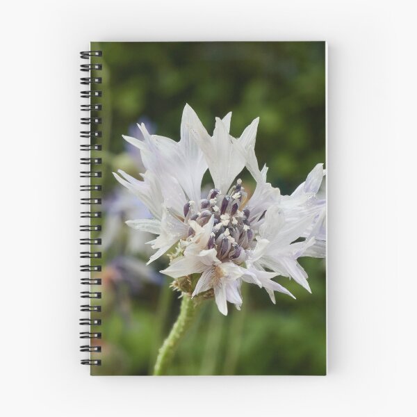 Item preview, Unknown Asteraceae designed and sold by Eidetic Photos.