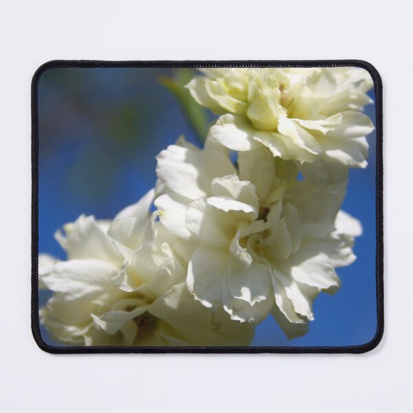 Item preview, Deutzia White Waterfall Blossom Against Blue Sky designed and sold by taiche.
