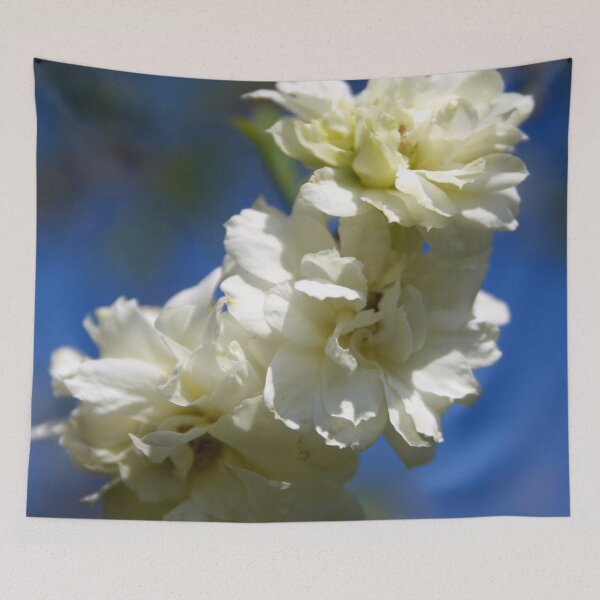 Item preview, Deutzia White Waterfall Blossom Against Blue Sky designed and sold by taiche.
