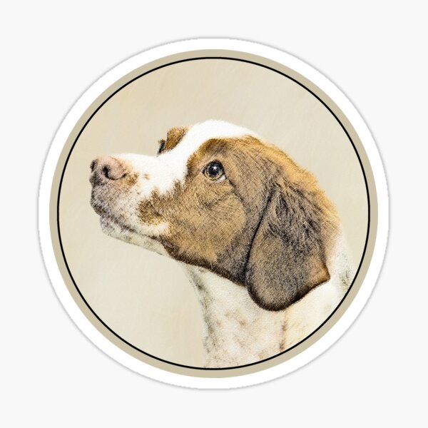 Brittany Sticker