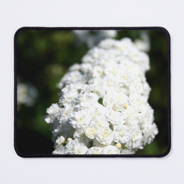 Item preview, Deutzia Bountiful White Blooms designed and sold by taiche.